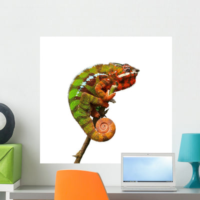 Chameleon Wall Decal shown on a wall