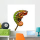 Chameleon Wall Decal