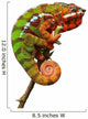 Chameleon Wall Decal