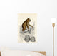 The Orang-Utan Wall Mural