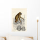 The Orang-Utan Wall Mural