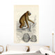 The Orang-Utan Wall Mural