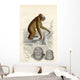 The Orang-Utan Wall Mural