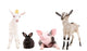 Funny Farm Animals Together Wall Decal Sticker Set