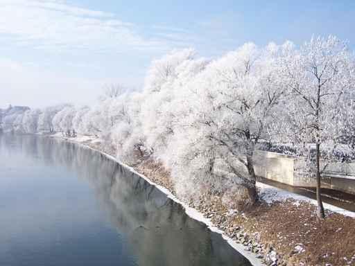 Winter Banks Danube Wall Decal Design 2