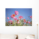 Pink Flowers Against Blue Sky Wall Mural