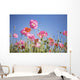 Pink Flowers Against Blue Sky Wall Mural