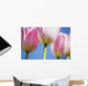 Tulips Wall Mural