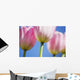 Tulips Wall Mural