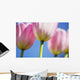 Tulips Wall Mural