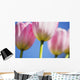 Tulips Wall Mural