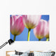 Tulips Wall Mural