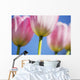 Tulips Wall Mural