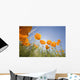 Orange Poppies Wall Mural