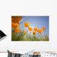 Orange Poppies Wall Mural