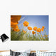 Orange Poppies Wall Mural