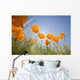 Orange Poppies Wall Mural