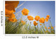 Orange Poppies Wall Mural