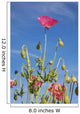 Red Flower Against Blue Sky Wall Mural