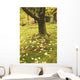 Autumn Leaves Wall Mural