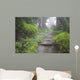 Foggy Forest Path Wall Mural
