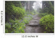 Foggy Forest Path Wall Mural