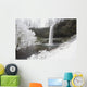Waterfall In Winter Wall Mural