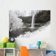 Waterfall In Winter Wall Mural