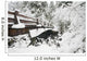 Snowy Pedestrian Bridge Through Forest Wall Mural