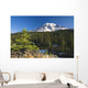 Snow-Capped Mountain Wall Mural