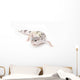 Snow Leopard Gecko Wall Decal