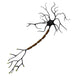 neuron Wall Decal