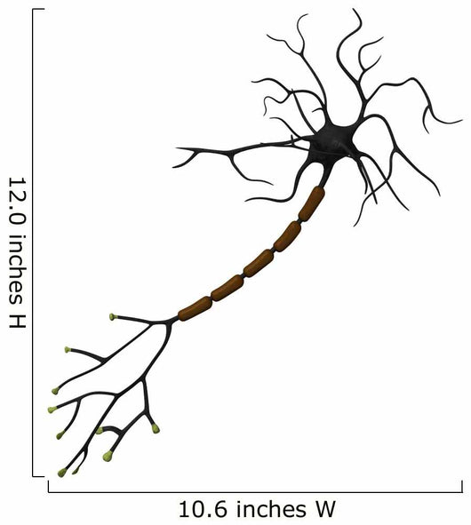 Neuron Wall Decal