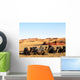 Camele in the Desert - Camel Desert Sand Wall Mural
