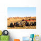 Camele in the Desert - Camel Desert Sand Wall Mural