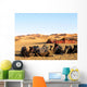 Camele in the Desert - Camel Desert Sand Wall Mural