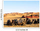 Camele in the Desert - Camel Desert Sand Wall Mural