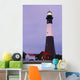 Lighthouse, Tybee Island, Georgia, Usa Wall Mural