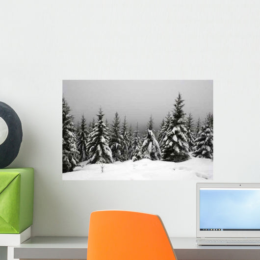 Snow-covered Resin Goetheweg Middle Wall Decal