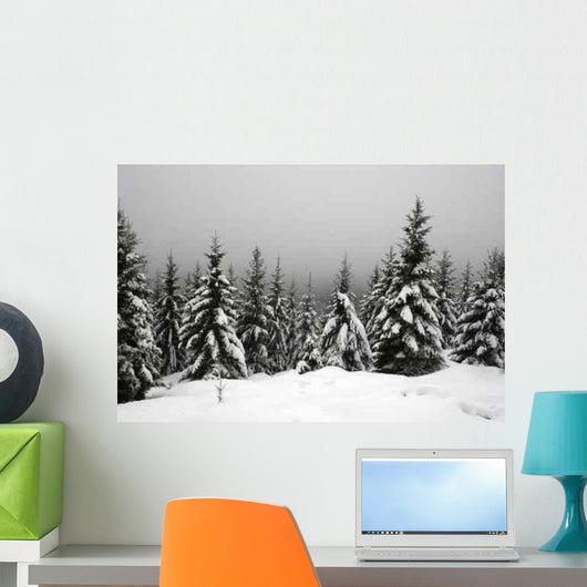 Snow-covered Resin Goetheweg Middle Wall Decal