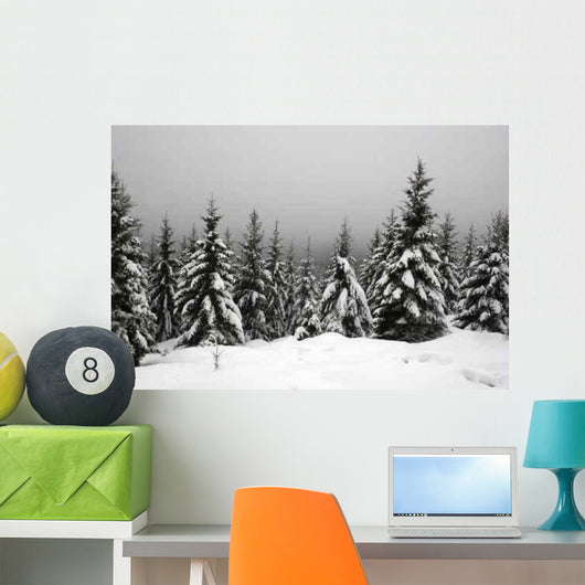 Snow-covered Resin Goetheweg Middle Wall Decal