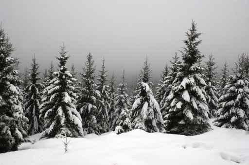 Snow-covered Resin Goetheweg Middle Wall Decal