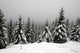 Snow-covered Resin Goetheweg Middle Wall Decal