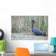 Little Blue Heron Wall Mural