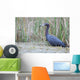 Little Blue Heron Wall Mural