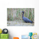 Little Blue Heron Wall Mural