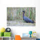 Little Blue Heron Wall Mural