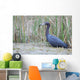 Little Blue Heron Wall Mural