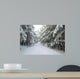 Wald Winter