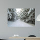 Wald Winter
